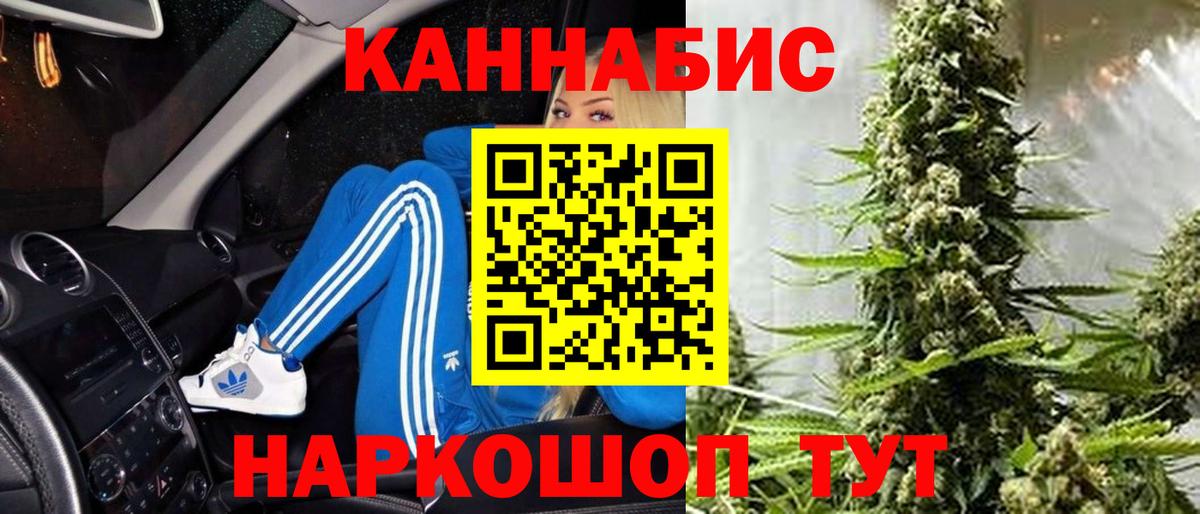 Канабис конопля  МАРИХУАНА план  Вход с VPN  Отрадный  Бошки марихуана тримм 